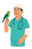 Weterynarz z psem - sieć klinik